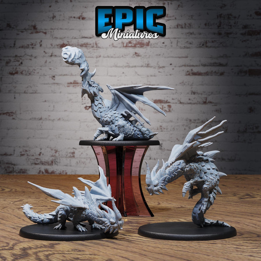 Dragons Reign DND Miniatures
