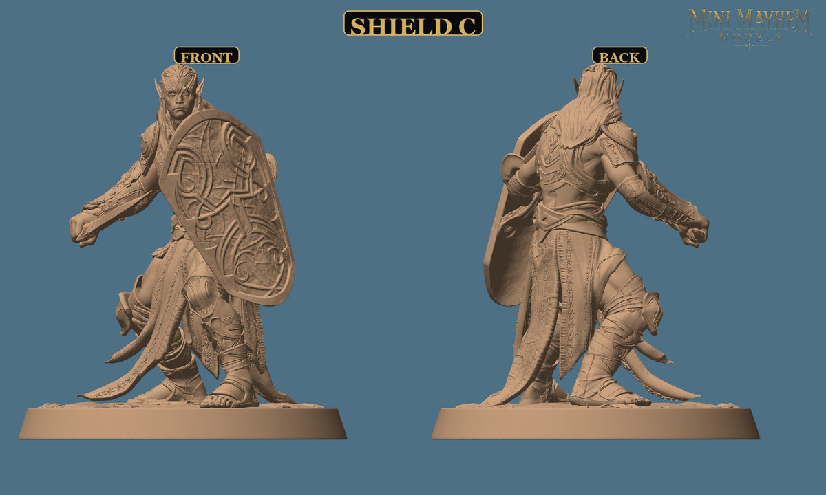 Hollow Blades Dark Elf Sword and Shield Deepwood Hollow | Option: Shield C | front | DND miniature Deepwood Hollow Rescale Miniatures