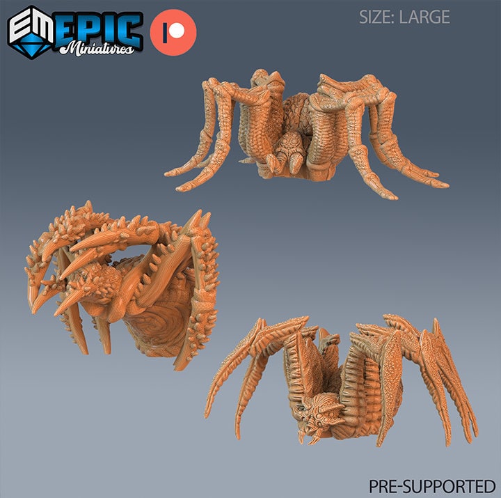 Giant Spider Set of 3 DND Minis | Corrupted Forest Collection | TTRPG | Beyond Witchlight Prismeer Feywild Hourglass Coven Forest Cave Thorn DND miniatures group photo