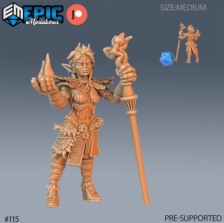 DND Miniature Elves Elf Collection Dungeons and Dragons Mini Resin 3d Printed Character Set of 4 Druid Paladin Ranger Rogue Elf Paladin front DND miniature  16k resin