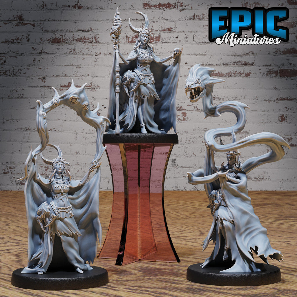Dragon Blood Shamaness Set of 3 DND miniatures group photo Safari Tour