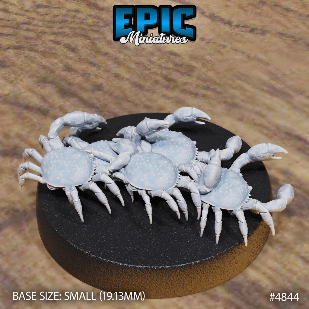 Crab Swarm Option #4844 back DND miniature Mysterious Ocean 16k resin