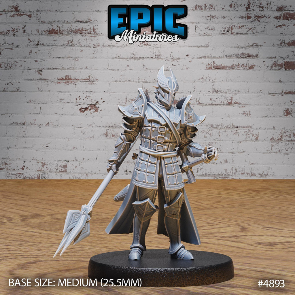 Platinum Paladin Option #4893 front DND miniature Age of Dragons 16k resin