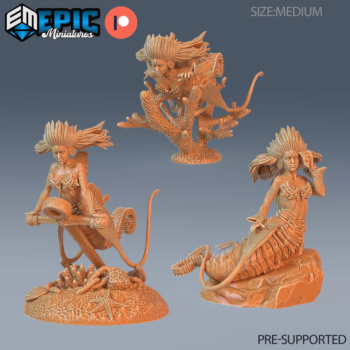 Seahorse Mermaid DND miniatures group photo Treasure Hunt