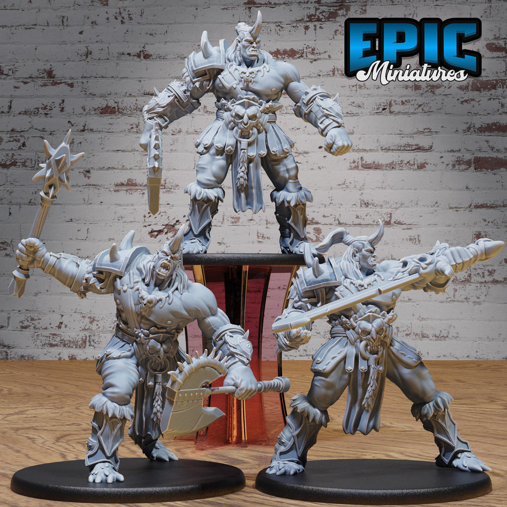 Ogrillon Set of 3 DND miniatures group photo Savage Attack