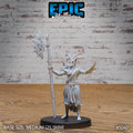 High Warlock Option #5047 front DND miniature Hells Wrath 16k resin