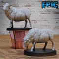 Sheep Set of 2 DND miniatures group photo Halfling Meadows