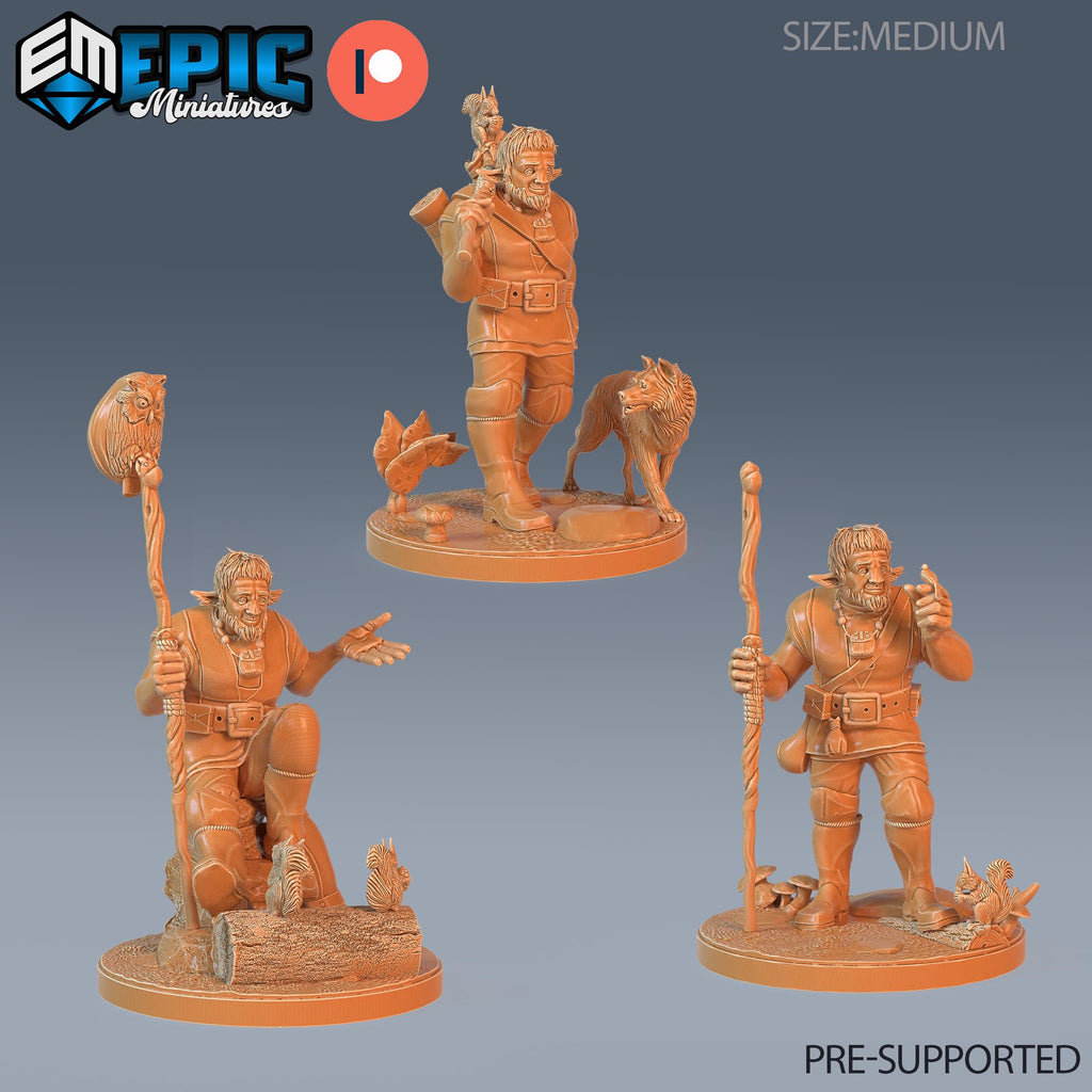 Firbolg Druid Set of 3 DND miniatures group photo Infested Woodlands
