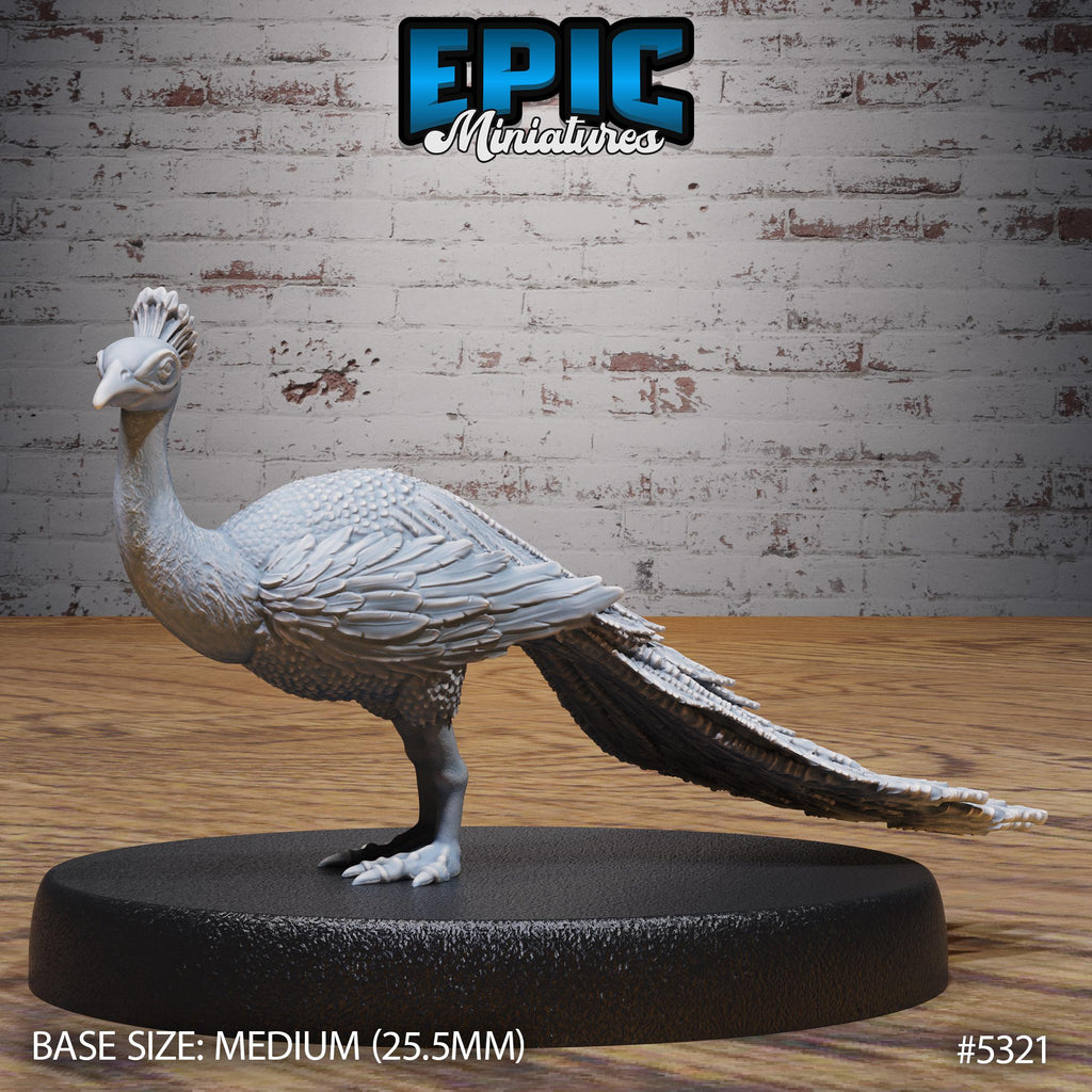 Peacock Peafowl Option #5321 front DND miniature Adventurers Guild 16k resin