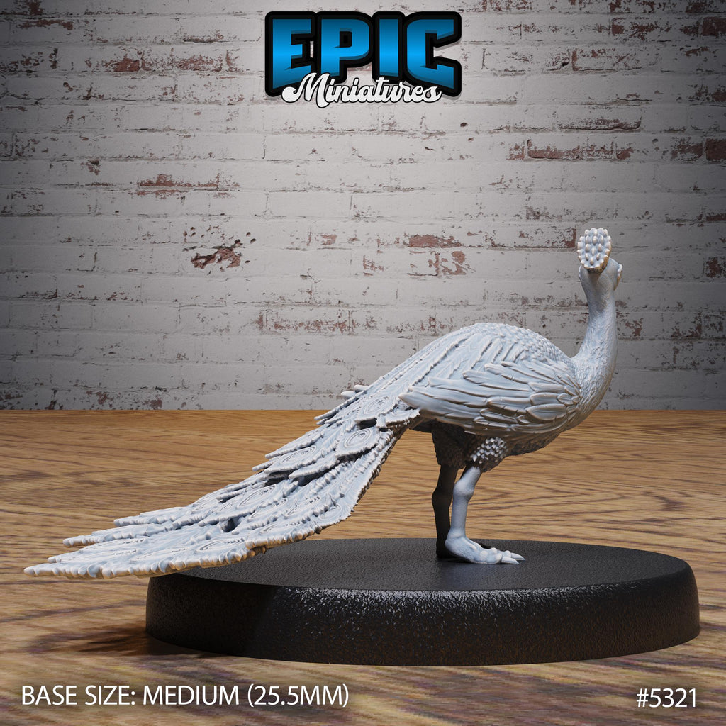 Peacock Peafowl Option #5322 front DND miniature Adventurers Guild 16k resin