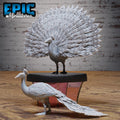 Peacock Peafowl Set of 2 DND miniatures group photo Adventurers Guild