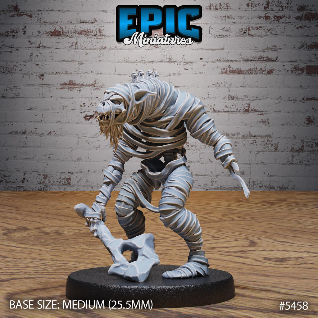 Gnoll Mummy Option #5458 front DND miniature Death Desert 16k resin