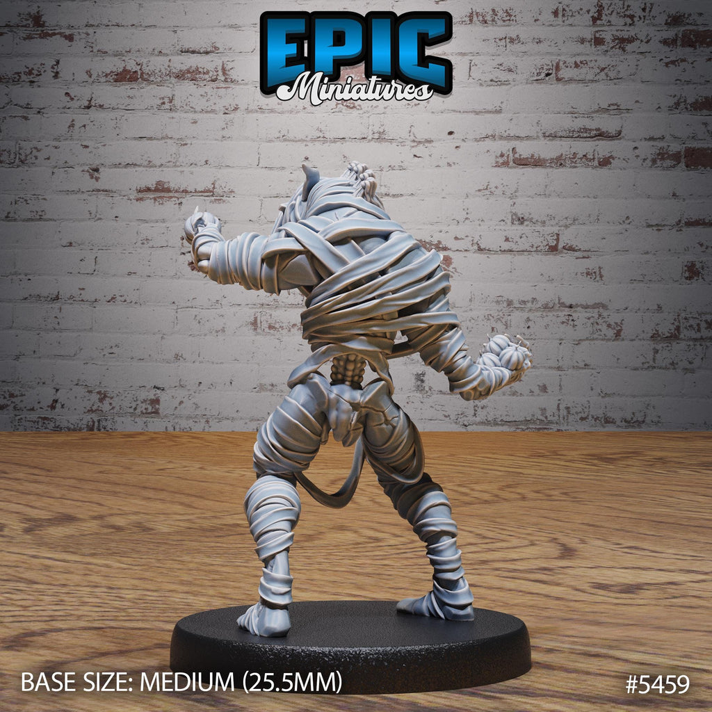 Gnoll Mummy Option #5459 back DND miniature Death Desert 16k resin