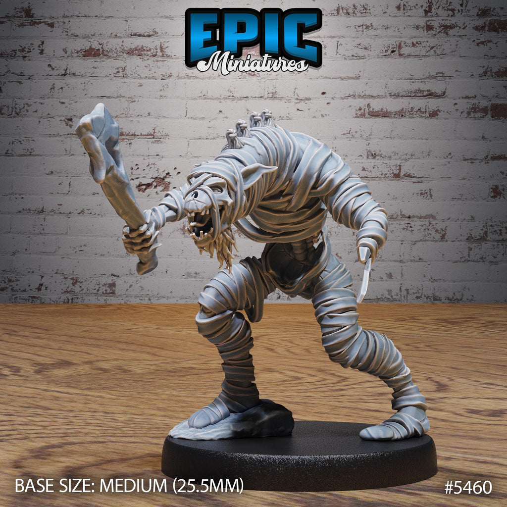 Gnoll Mummy Option #5460 front DND miniature Death Desert 16k resin