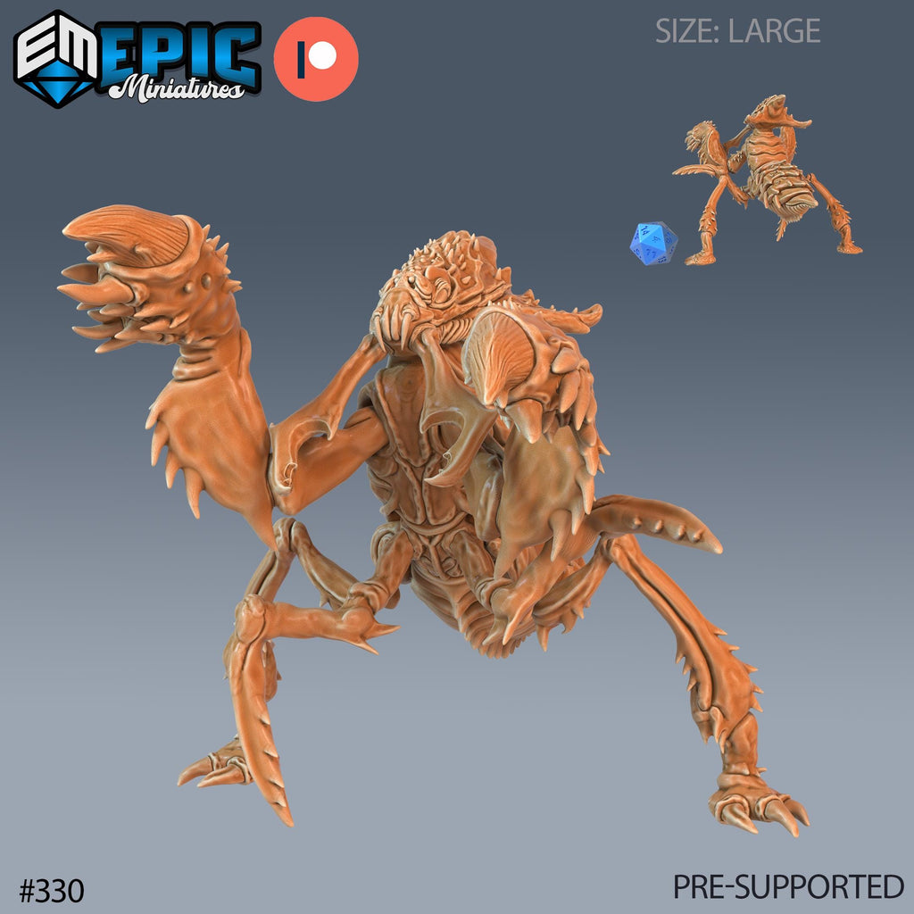 Ankheg Set of 3 DND Minis | Monster Rampage Collection | TTRPG | Chult Tomb of Annihilation Wildemount Out of the Abyss Option #330 front DND miniature  16k resin
