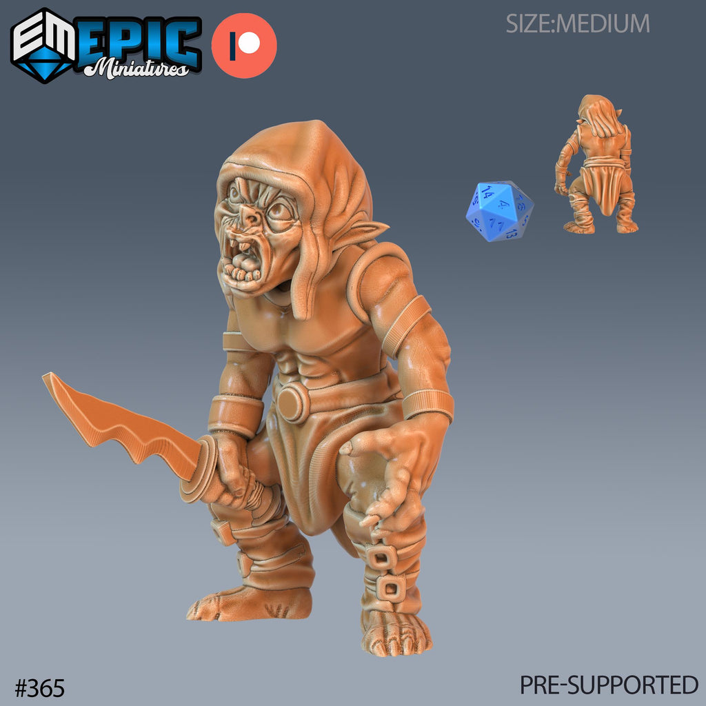 Goblin Set of 8 DND Minis | Monster Rampage Collection | TTRPG | Archer Warrior King Ranger Chult Tomb of Annihilation Wildemount Option #366 front DND miniature  16k resin