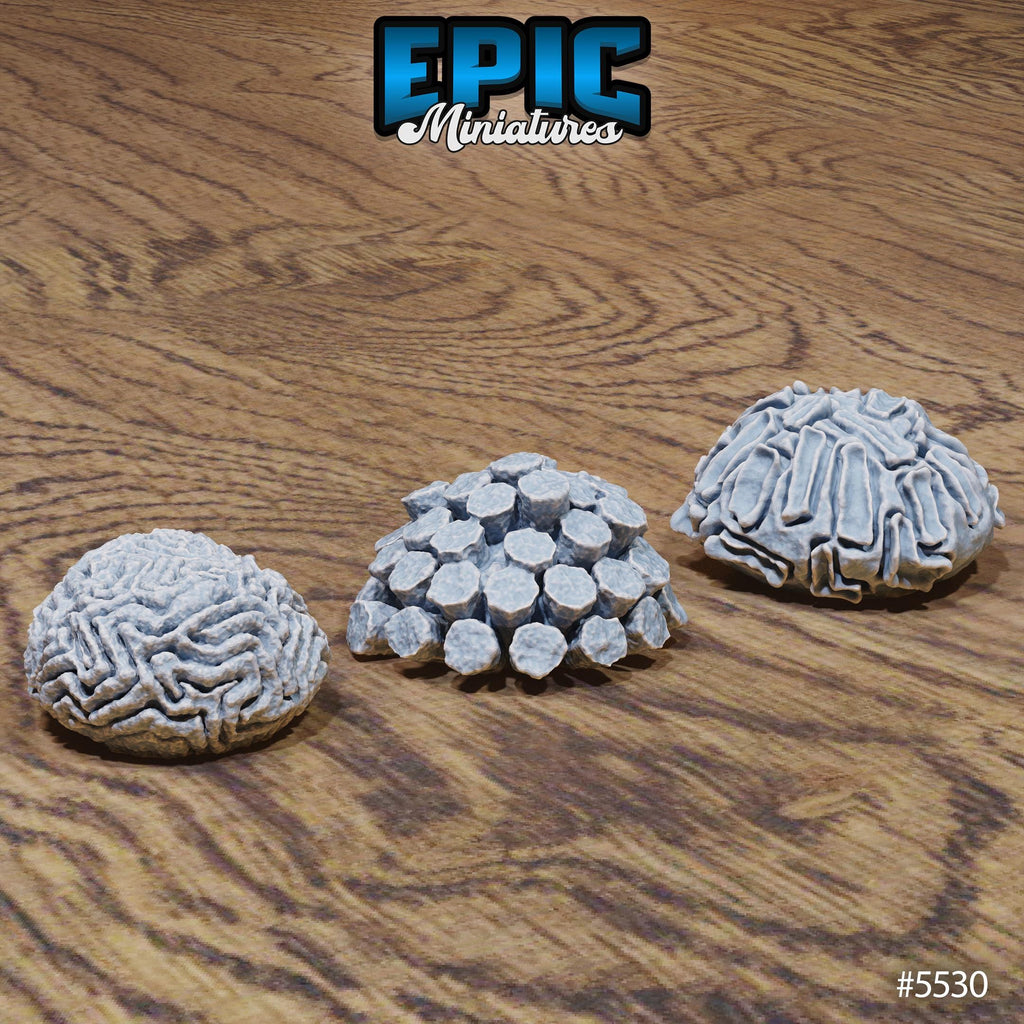 Underwater Scatter Terrain Option #5530 front DND miniature Deep Sea Mysteries 16k resin