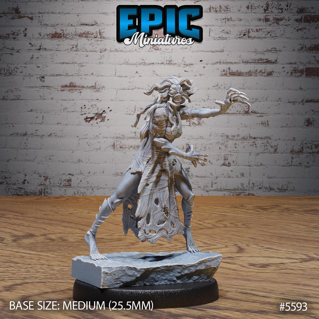 Spider Hag Option #5593 front DND miniature Witch Forest 16k resin