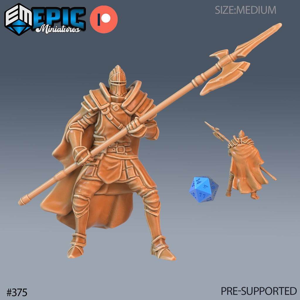 Royal Guard Halberd Set of 3 DND Minis | Last Rebellion Collection | TTRPG | Waterdeep Exandria Tiamat Curse Strahd Option #375 front DND miniature  16k resin