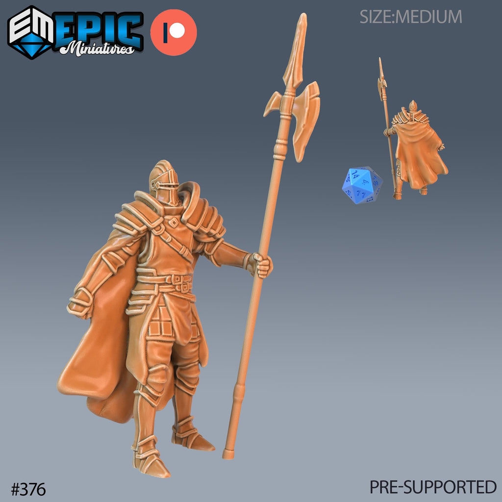 Royal Guard Watch Set of 3 DND Minis | Last Rebellion Collection | TTRPG | Waterdeep Exandria Tiamat Curse Strahd Option #376 (2) front DND miniature  16k resin