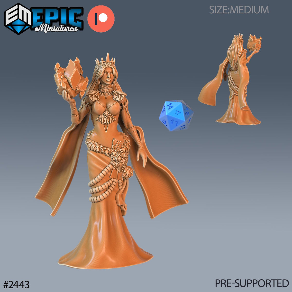 Ice Sorceress Option #2443 front DND miniature Ancient Cold 16k resin