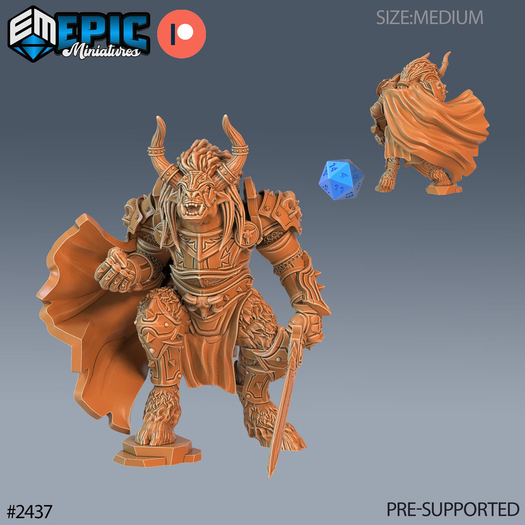 Wooly Minotaur Paladin Option #2437 front DND miniature Ancient Cold 16k resin