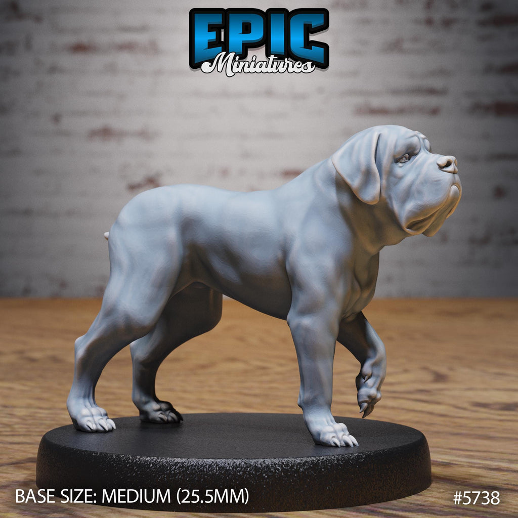 Mastiff War Dog Mount Option #5738 front DND miniature Cultist Circle 16k resin