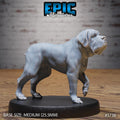 Mastiff War Dog Mount Option #5738 front DND miniature Cultist Circle 16k resin