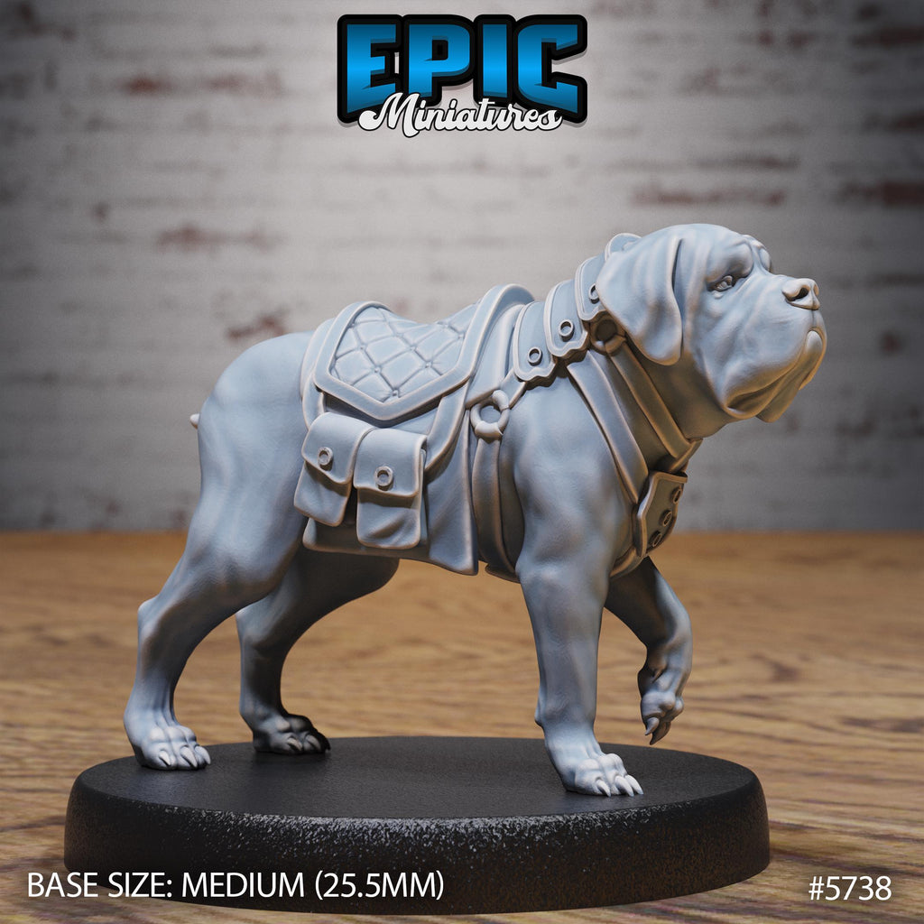 Mastiff War Dog Mount 1 v2 front DND miniature Cultist Circle 16k resin