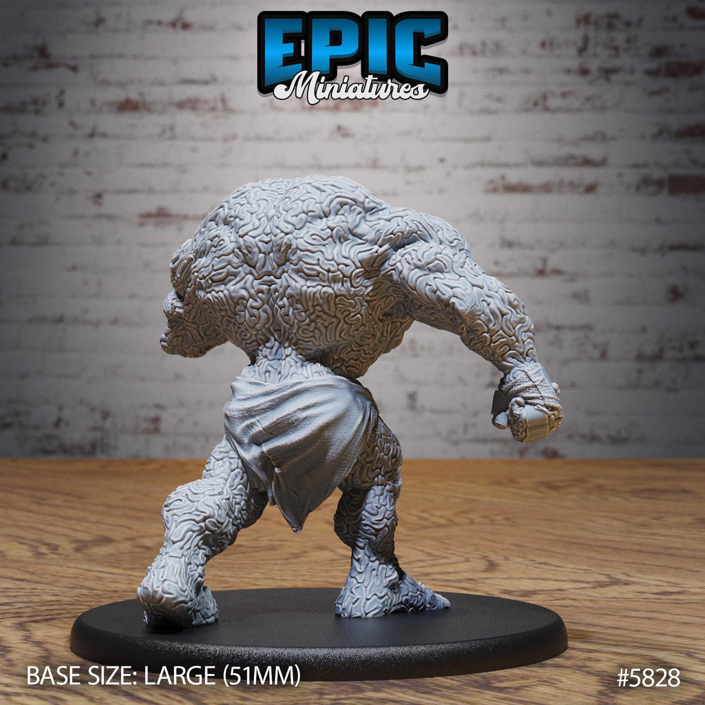 Brain Golem Option #5828 back DND miniature Mind Attack 16k resin
