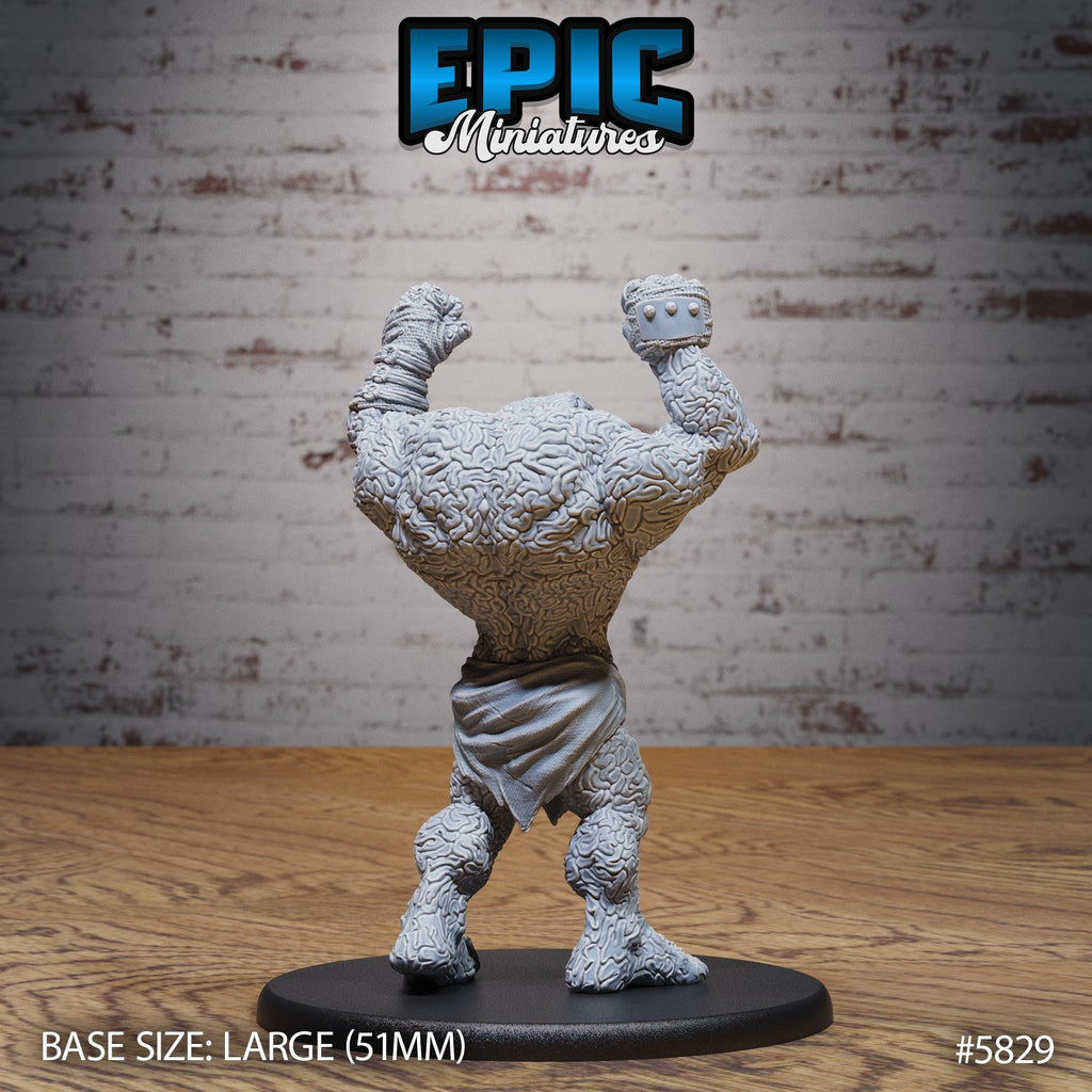 Brain Golem Option #5829 back DND miniature Mind Attack 16k resin