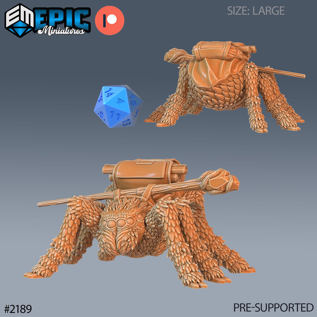 Spider Adventurer Warlock Option #2189 front DND miniature Secret Minds 16k resin