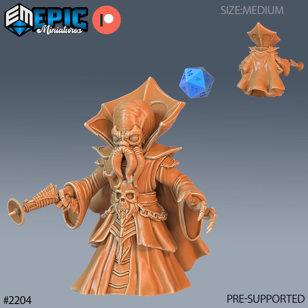 Mind Gnome Option #2204 front DND miniature Secret Minds 16k resin