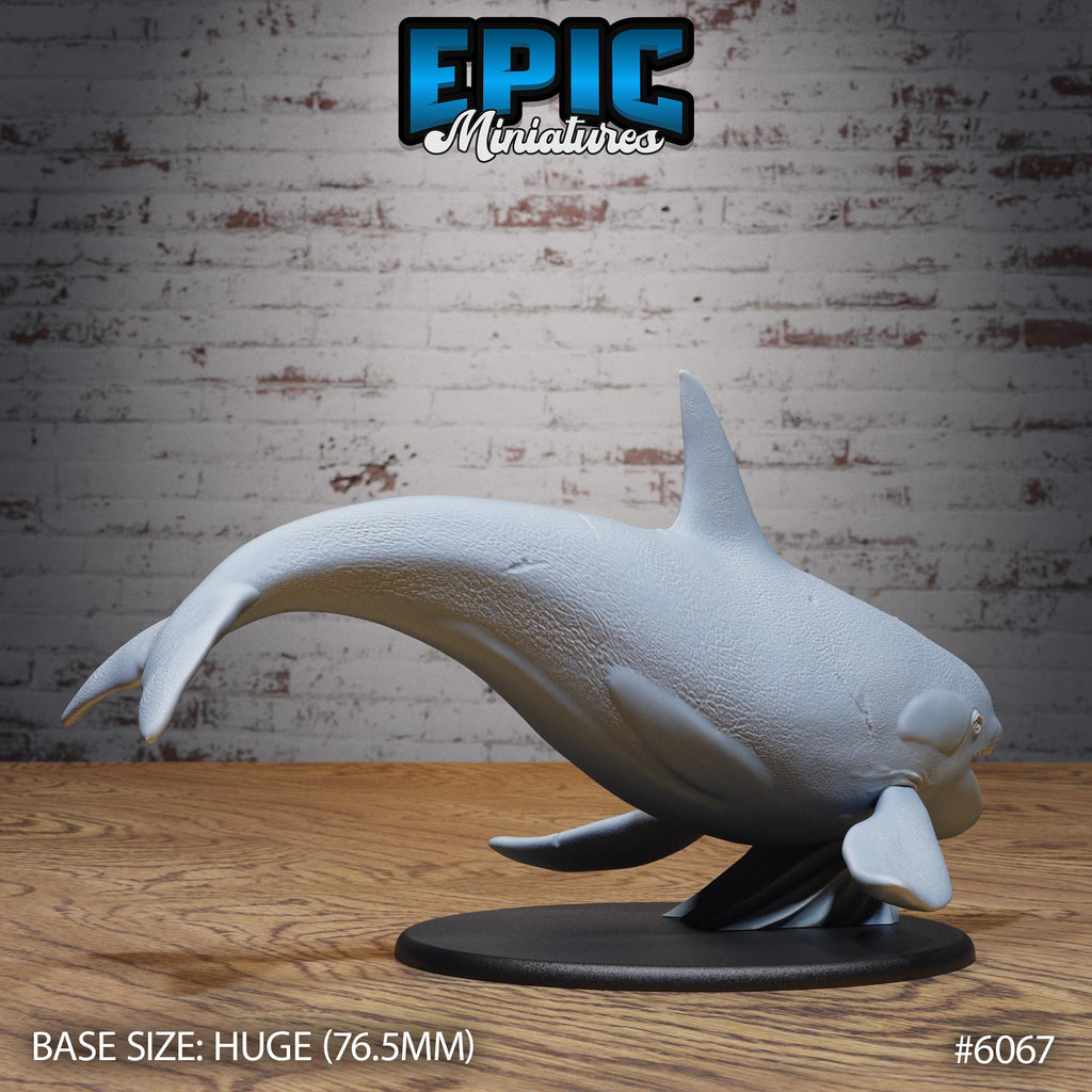 Orca Killer Whale Option #6067 back DND miniature Corsair Waters 16k resin
