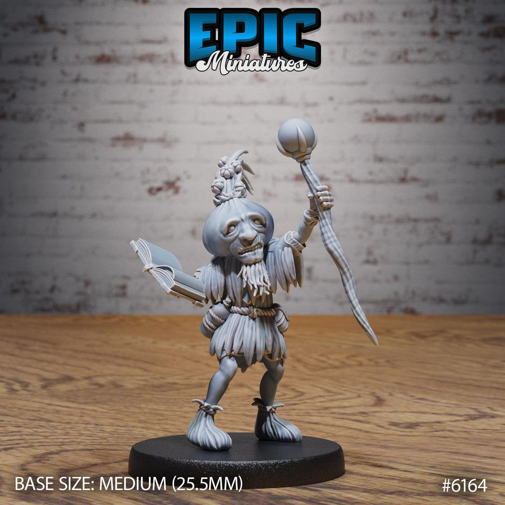 Garlic Druid Option #6164 front DND miniature Swamp Adventure 16k resin