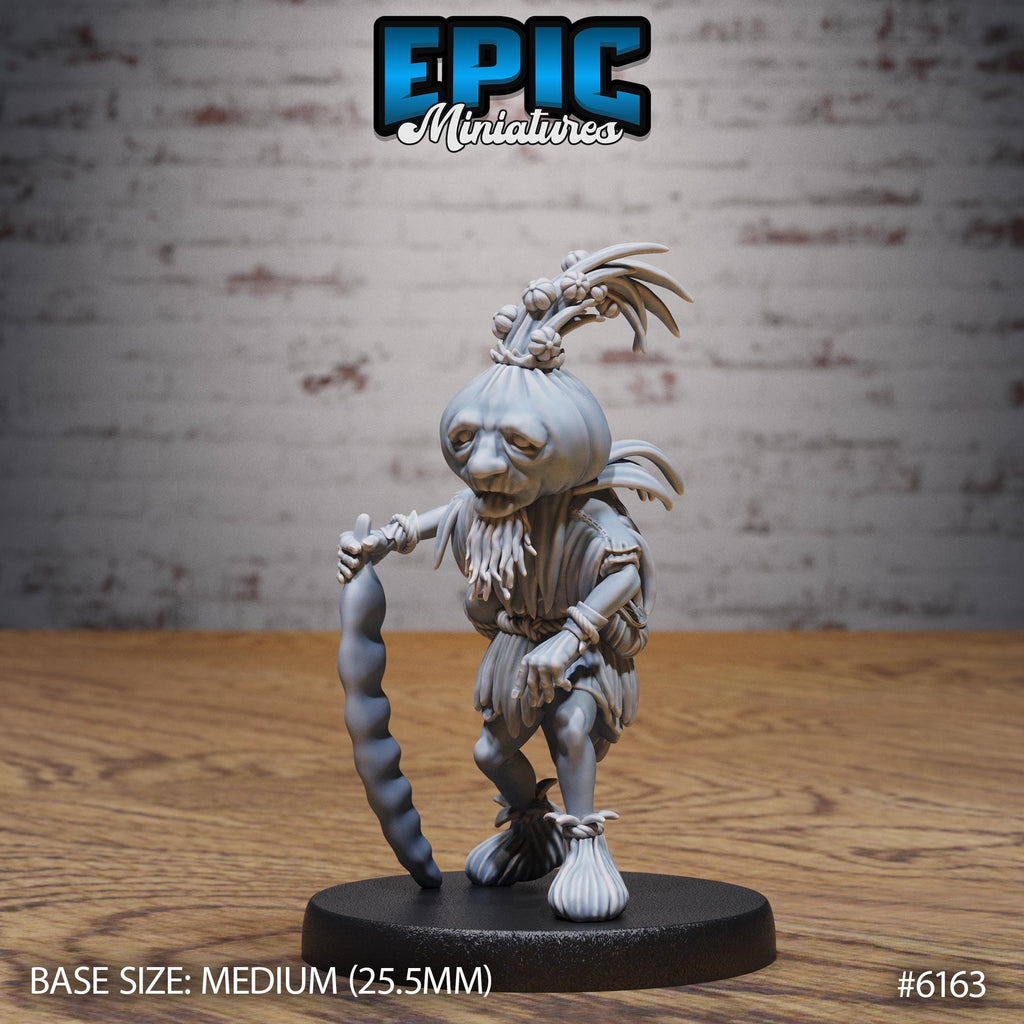 Garlic Druid Option #6163 front DND miniature Swamp Adventure 16k resin