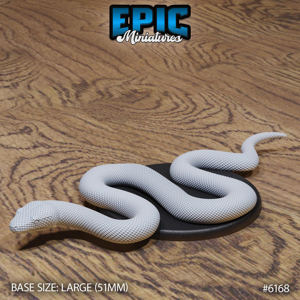 Boa Constrictor Option #6168 front DND miniature Swamp Adventure 16k resin