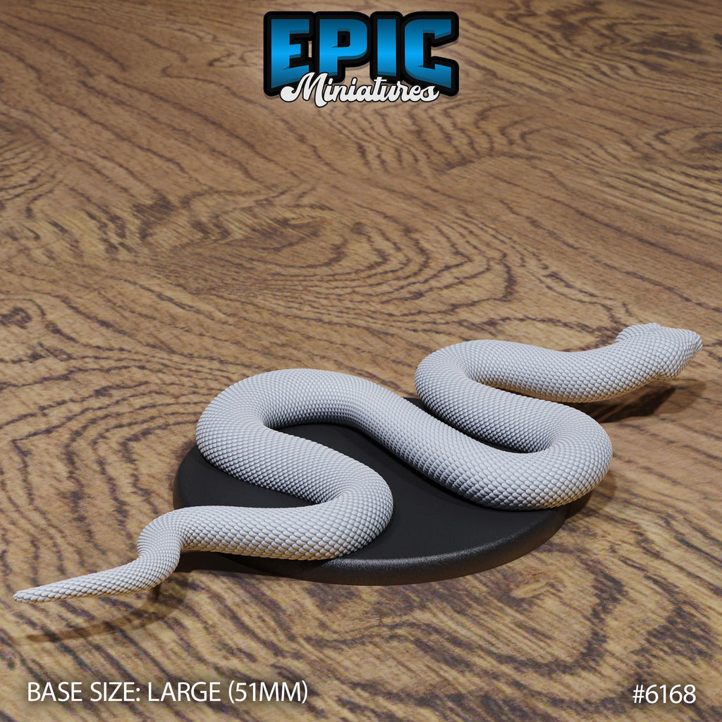 Boa Constrictor Option #6168 back DND miniature Swamp Adventure 16k resin