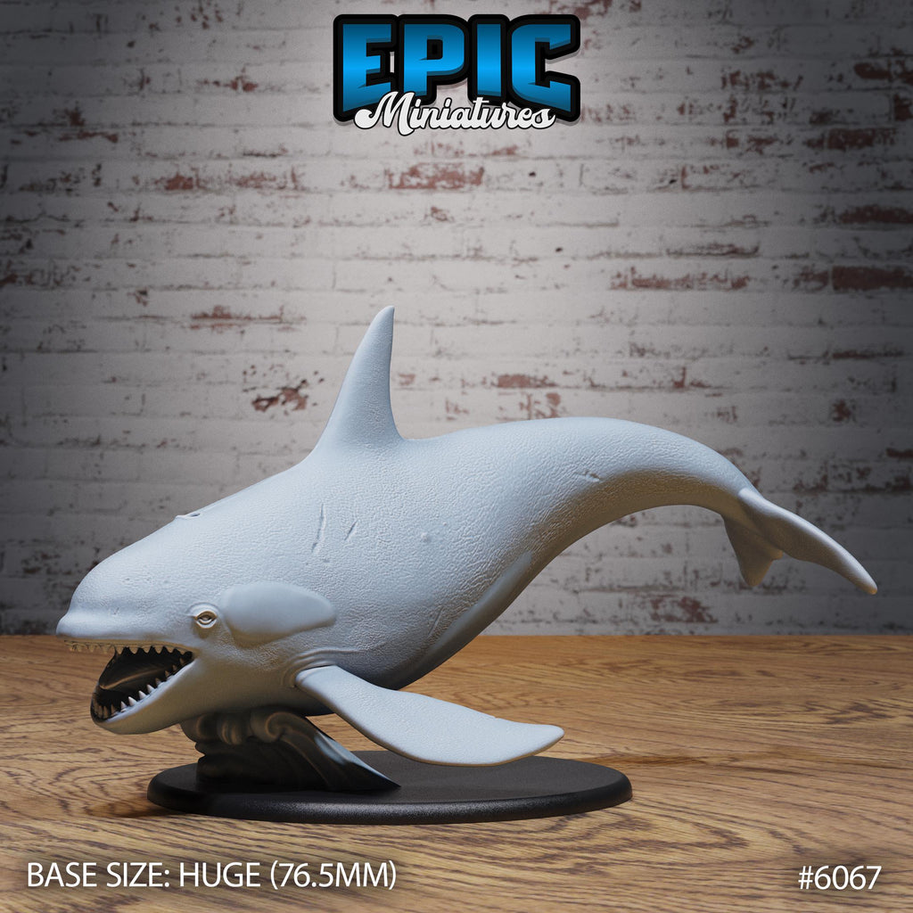 Orca Killer Whale Option #6067 front DND miniature Corsair Waters 16k resin