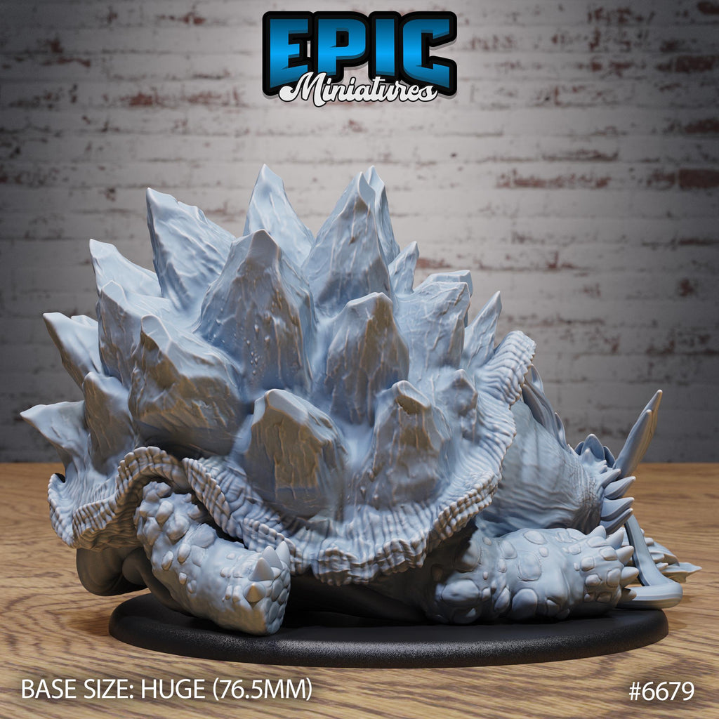 Old Tortoise Option #6679 back DND miniature Secretive East 16k resin