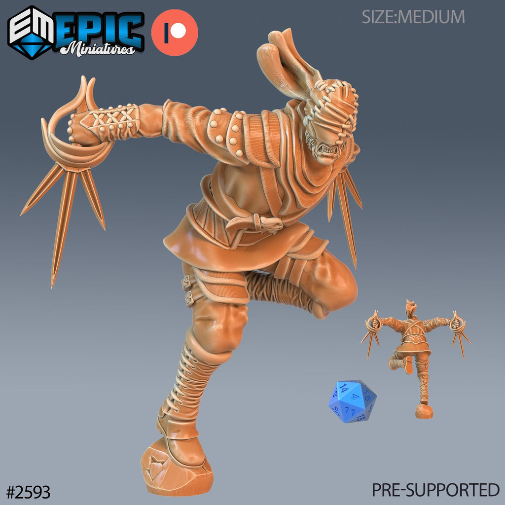 Vampire Assassin Option #2593 front DND miniature Vampires Curse 16k resin