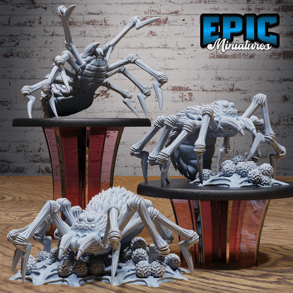 Dire Spider Set of 3 DND miniatures group photo Dragons Reborn