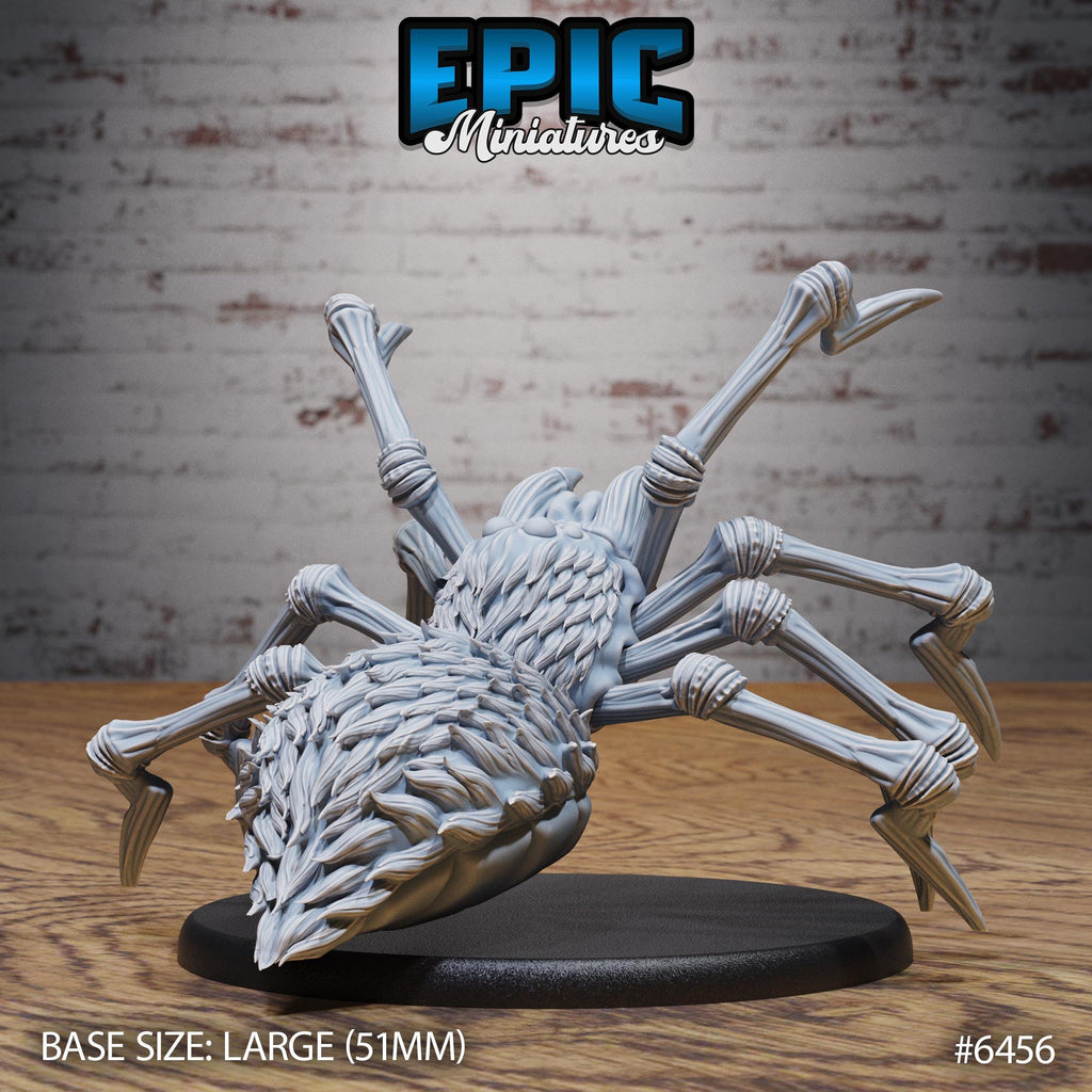 Dire Spider Option #6456 back DND miniature Dragons Reborn 16k resin