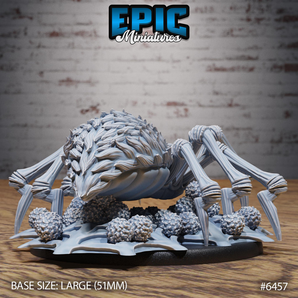 Dire Spider Option #6457 back DND miniature Dragons Reborn 16k resin