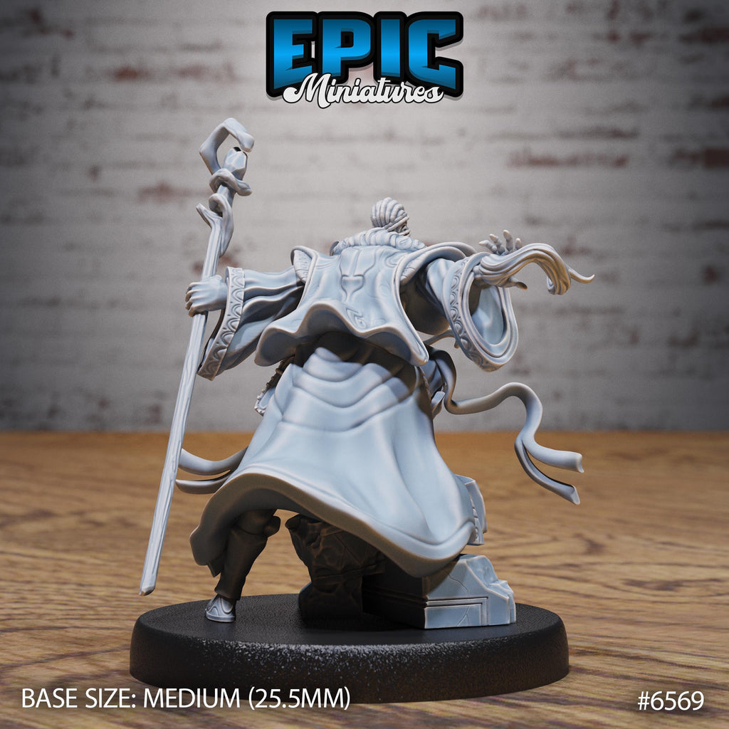 Wizard Option #6569 back DND miniature Magical Library 16k resin