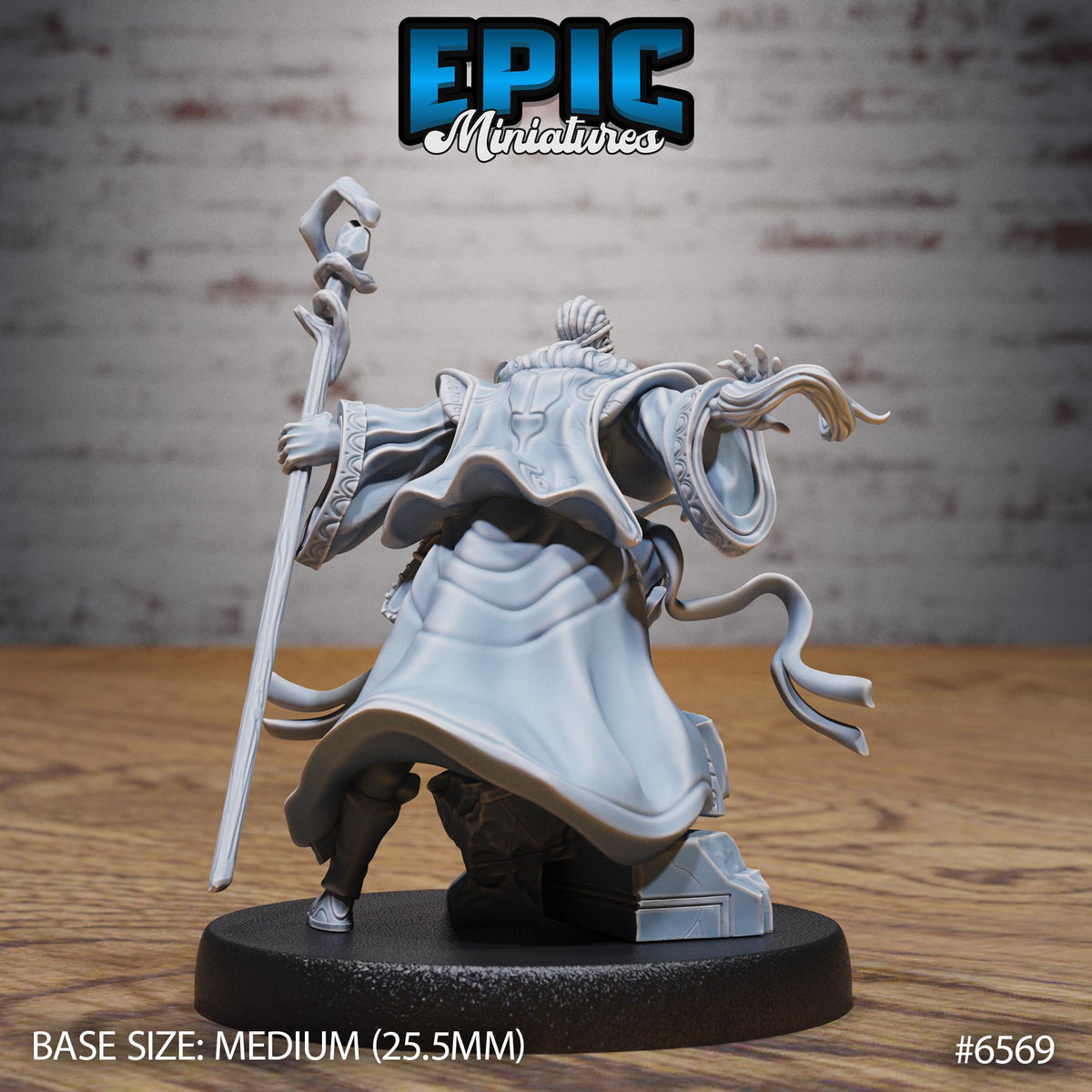 Wizard Option #6569 back DND miniature Magical Library 16k resin