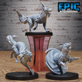 Blink Dog Set of 3 DND miniatures group photo Magical Library