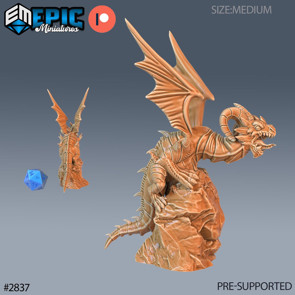 Dragon Wyrmling Option #2837 front DND miniature Viking Age 16k resin
