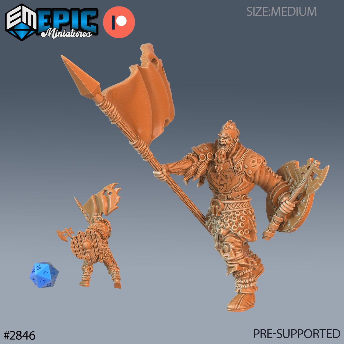 Viking Invader Option #2846 front DND miniature Viking Age 16k resin