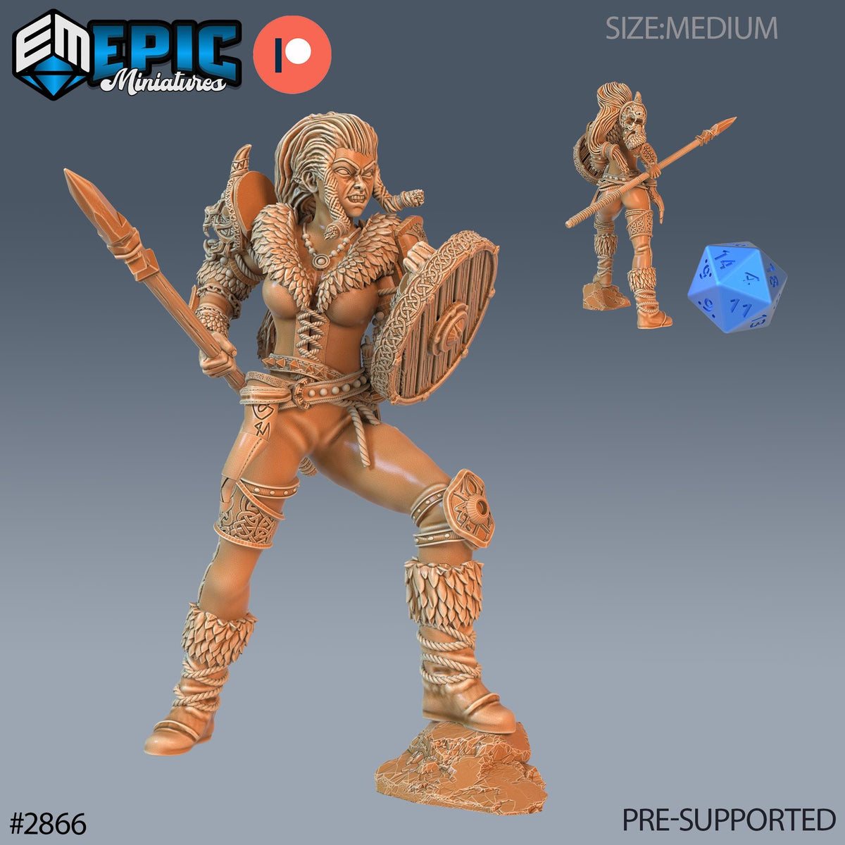 Viking Shieldmaiden Lathgertha Option #2866 front DND miniature Viking Age 16k resin
